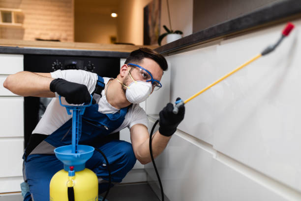 Best Wasp Removal Services  in Benjamin, UT