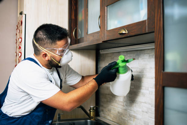 Best Pest Removal Services  in Benjamin, UT
