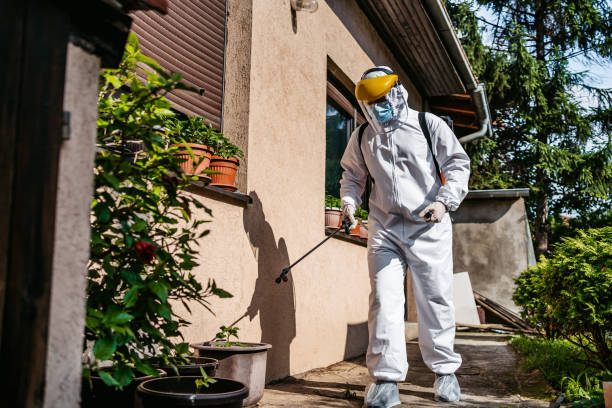 Best Residential Pest Control  in Benjamin, UT