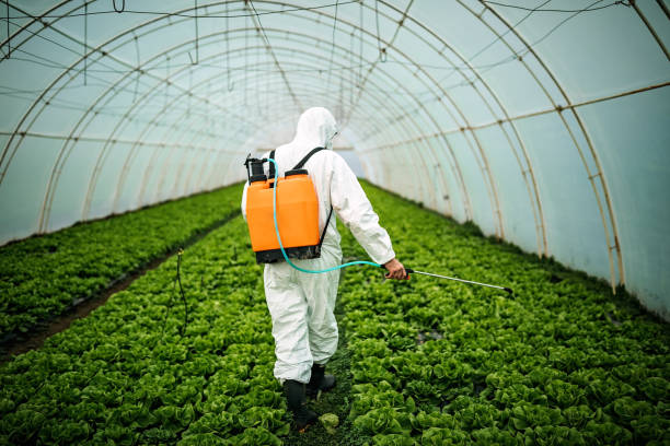 Best Commercial Pest Control Services  in Benjamin, UT