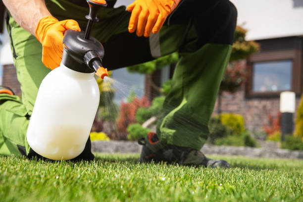 Best Termite Control Services  in Benjamin, UT