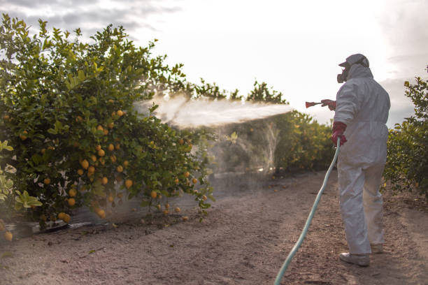 Best Best Pest Control Near Me  in Benjamin, UT