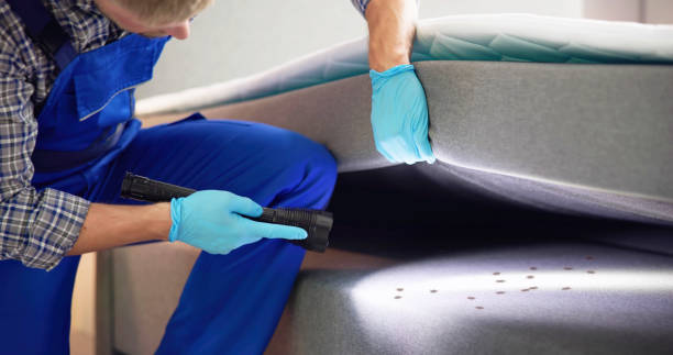 Best Affordable Pest Control Services  in Benjamin, UT