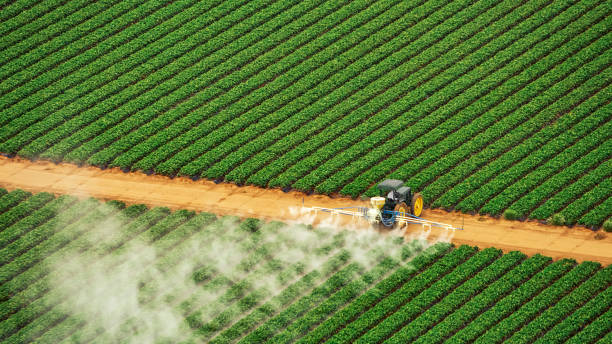 Best Ant Control Services  in Benjamin, UT