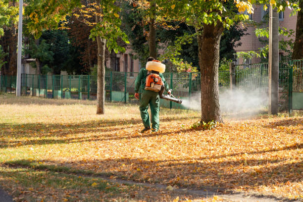 Best Flea Control Services  in Benjamin, UT
