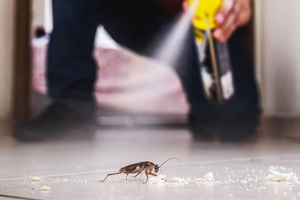 Best Pest Control for Homes  in Benjamin, UT