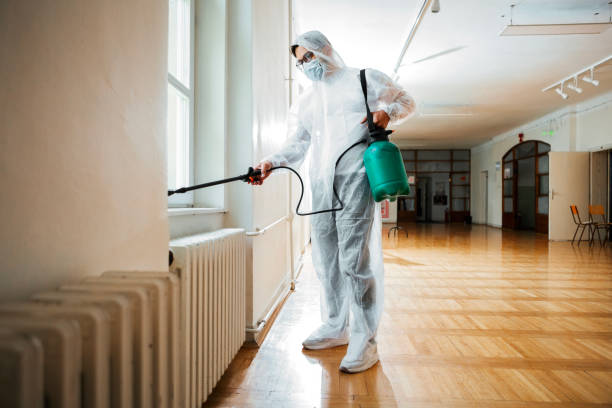 Wasp Removal Services in Benjamin, UT