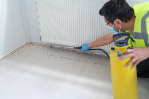 Best Affordable Pest Control Services  in Benjamin, UT