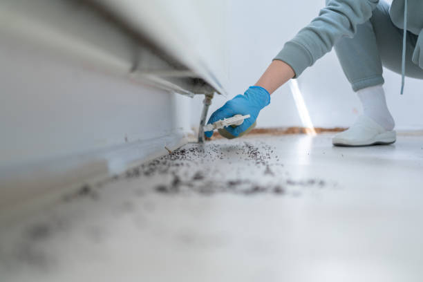 Best Rat Extermination Near Me  in Benjamin, UT