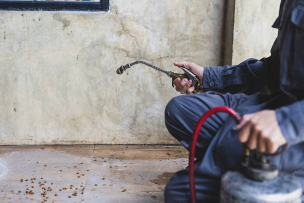 Best Pest Prevention Services  in Benjamin, UT